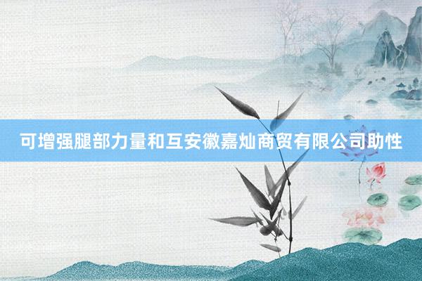 可增强腿部力量和互安徽嘉灿商贸有限公司助性