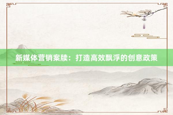 新媒体营销案牍：打造高效飘浮的创意政策